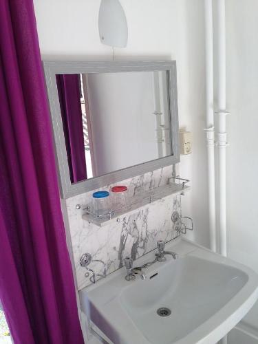 een badkamer met een wastafel en een spiegel bij Hotel Bij Verhoeven in Zevenbergen