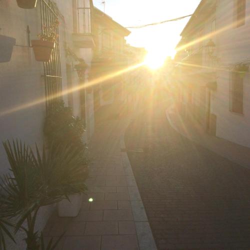 Estepona 1