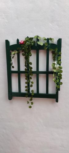 a green shelf with a plant on a wall at Aastha homestay in Mysore