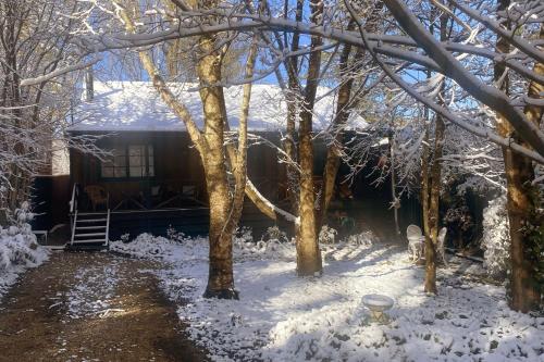 a house covered in snow with trees in front of it at Mountain Den in Blackheath