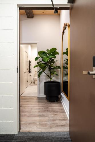 a hallway with a potted plant in a room at Pulaski Point Properties in Chicago