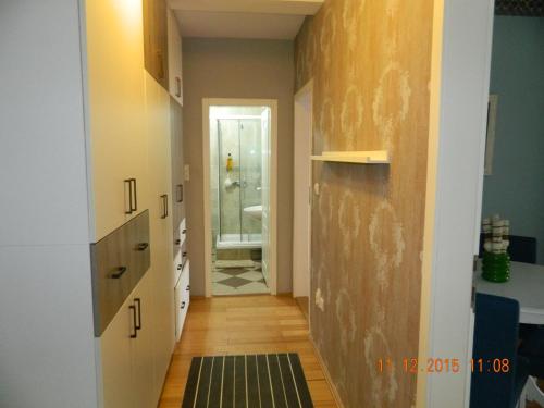 a hallway with a bathroom with a sink and a shower at Apartment Dunja in Novi Sad