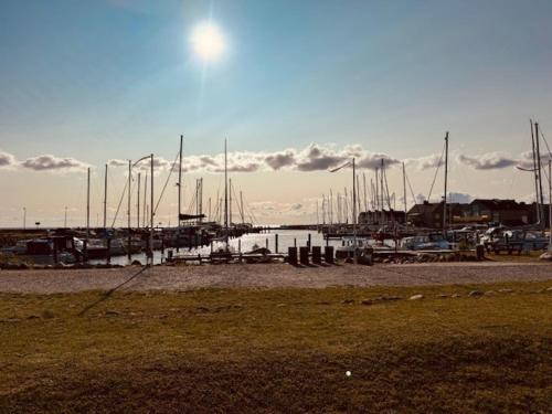 a group of boats docked at a marina at Karrebaeksminde Strandhotel in Karrebæksminde