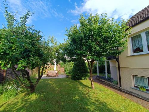 einen Hof mit zwei Bäumen neben einem Haus in der Unterkunft Ferienappartement in Lauterbach auf Rügen! in Lauterbach
