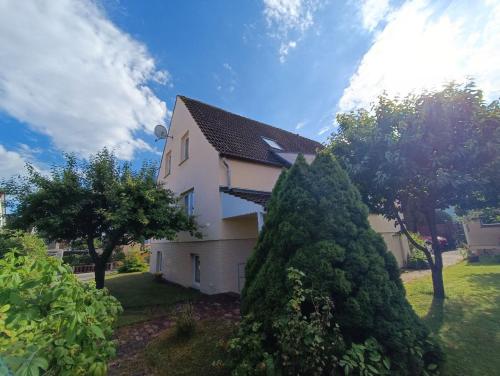 ein Haus mit einem großen Busch davor in der Unterkunft Ferienappartement in Lauterbach auf Rügen! in Lauterbach