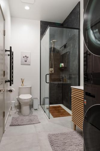 a bathroom with a shower and a toilet and a sink at Pulaski Point Properties in Chicago