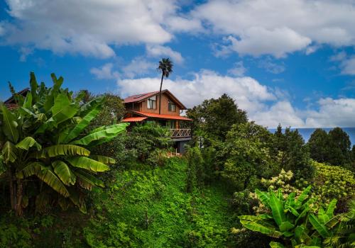 a house on a hill with a palm tree at Geophysical Station in Tsikhisdziri in K'obulet'i