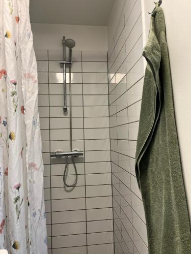 a bathroom with a shower with a shower curtain at Central Apartment Aalborg C - Sorin in Aalborg