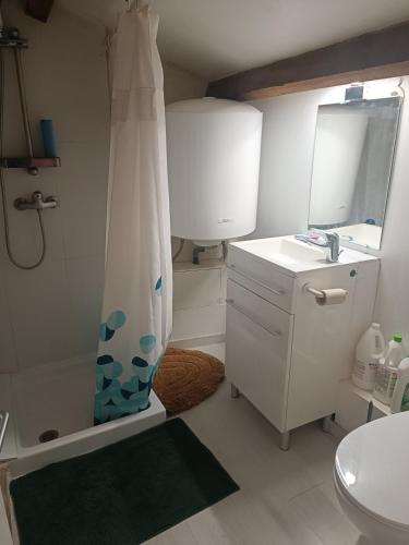 une salle de bain avec un rideau de douche et un lavabo dans l'établissement Charmant LOFT, à Draguignan