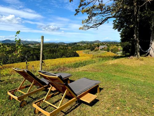 a couple of chairs sitting on top of a field at Ferienhaus Panorama - Gamlitz in Gamlitz