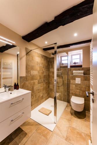 une salle de bain avec une douche, des toilettes et un lavabo dans l'établissement Maison 1775 Ferien im historischen Bauernhaus mit Sauna, Wissembourg, Elsass, à Ingolsheim