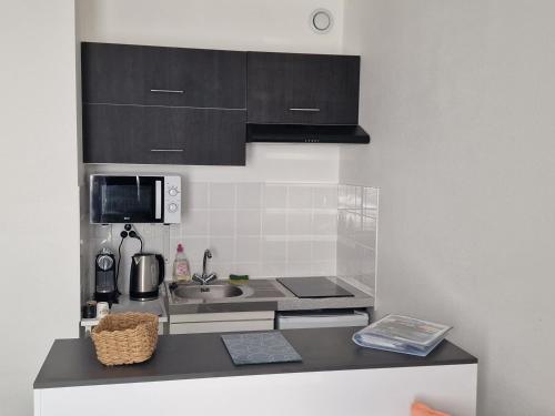 une petite cuisine avec un évier et un micro-ondes dans l'établissement Studio tranquille Escale Briochine à 2 pas du centre-ville avec place parking privé, à Saint-Brieuc