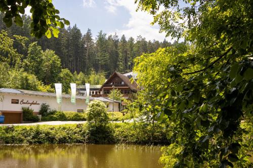 a view of the lodge from across the lake at Waldhotel Ehrental in Schmalkalden