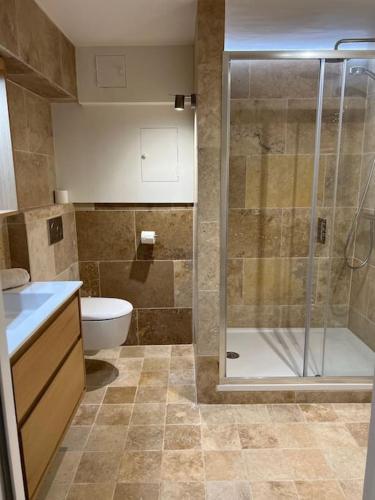 une salle de bain avec douche et toilettes dans l'établissement DREAM HOUSE in front of CHATEAU DE BEYNAC in Perigord , Dordogne, à Beynac-et-Cazenac