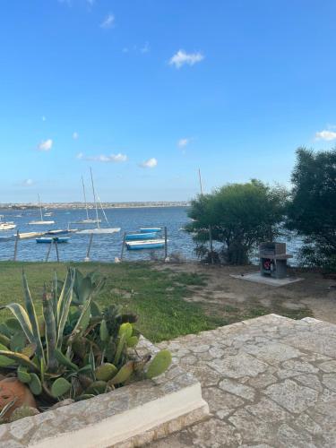 a view of the water with a bench and a plant at Baia dei Fenici in Birgi Vecchi
