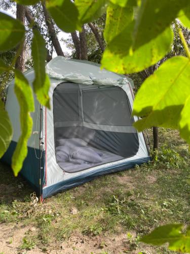 a tent sitting in the grass under some trees at Camping Baleia in Pui