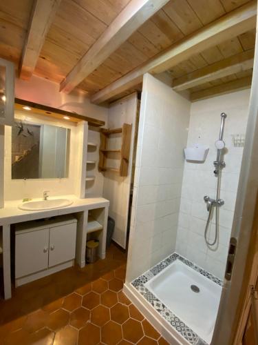 une salle de bain avec un lavabo et une douche dans l'établissement Maison des Quais, à Arles
