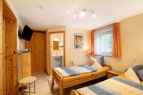 a hotel room with two beds and a television at Ferienhaus Sonnenhof in Blankenburg