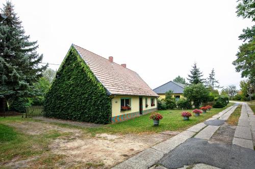 a small house with a ivy growing on the side of it at Ferienhaus Sonnenhof in Blankenburg