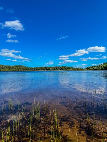 a large body of water with trees in the background at FoRest House in Rosenfors
