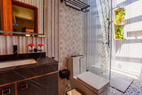 Un baño con inodoro, lavabo y espejo. en Rustic Villa, en Guraidhoo