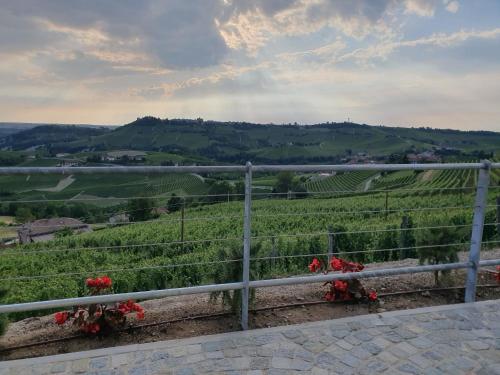 a view of a vineyard from a fence with red flowers at Cascina Bricco San Pietro Bed & Wine in Monforte dʼAlba