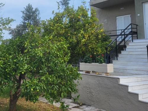 a house with stairs and a tree in front of it at Marys Home Eretria in Malakóndas