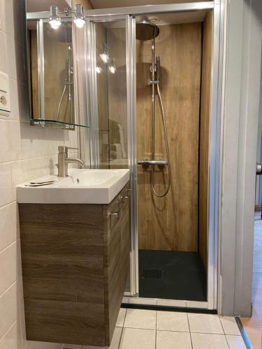 a bathroom with a sink and a shower at La Pénate in Pluduno