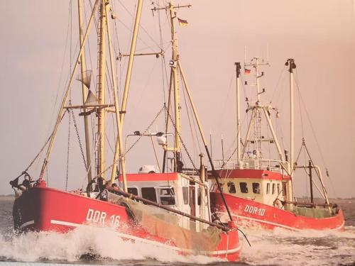 two red and white boats in the water at Ferienhaus Poseidon in Dorum Neufeld