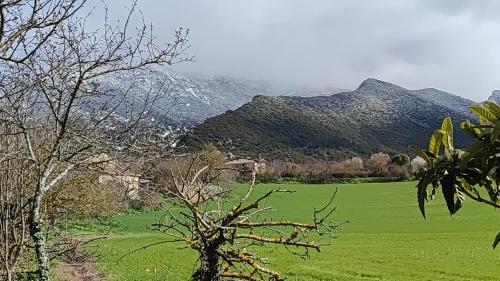 a green field with mountains in the background at La Casita de Pajares in Pajares