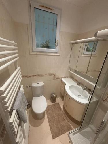 une salle de bain avec toilettes et lavabo dans l'établissement Villa Centre Mandelieu-la-Napoule, à Mandelieu-la-Napoule