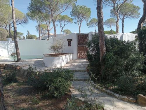 Foto Casa Palmito 6