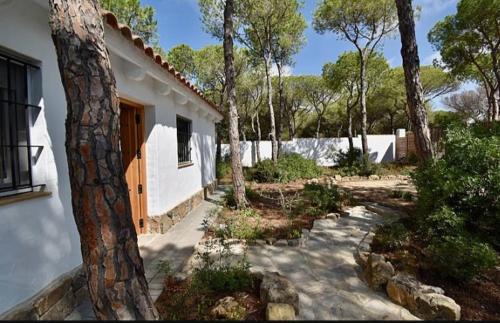 Foto Casa Palmito 3