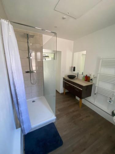 une salle de bain avec une douche en verre et un lavabo dans l'établissement De Tussenstop, à Villefranche-sur-Saône