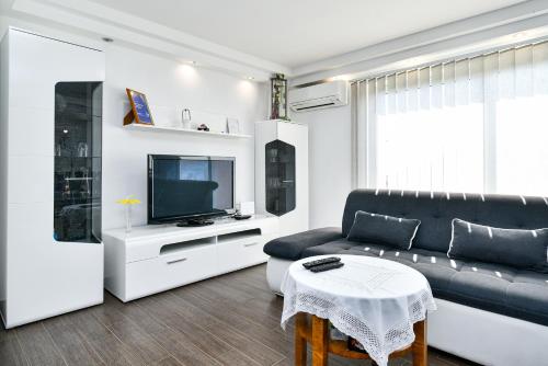 Televízia a/alebo spoločenská miestnosť v ubytovaní Apartman Lavanda sa bazenom i okućnicom 4*