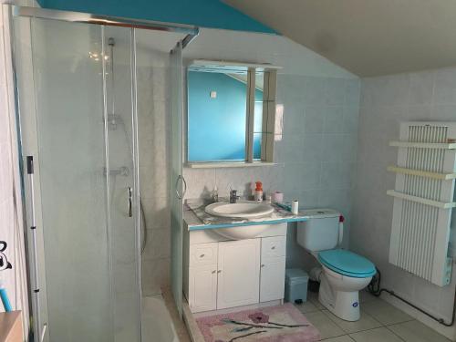 une salle de bain avec une douche, un lavabo et des toilettes dans l'établissement Maison confortable à Clion avec parking privé, à Clion