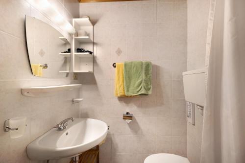 a bathroom with a sink and a toilet and a mirror at Bed and Breakfast Ederhof in San Giacomo