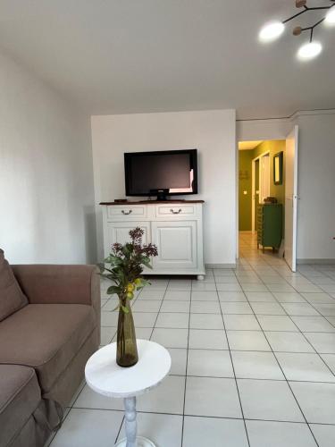 a living room with a couch and a tv at Appartement Les Terrasses du Port in Port-de-Bouc