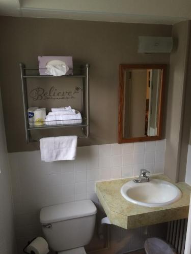 Un baño con lavabo, inodoro y espejo. en The King's Inn, en Sidney