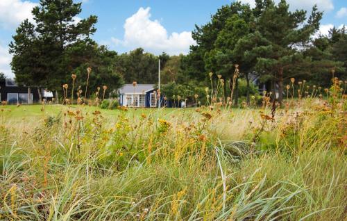 a field of tall grass with a blue house in the background at 3 Bedroom Beautiful Home In Thyholm in Thyholm