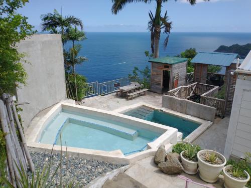 a swimming pool with a view of the ocean at Paradise Point Villas in Castara