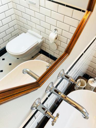 a bathroom with a sink and a mirror and a toilet at Greenhell Farmhouse in Nohn