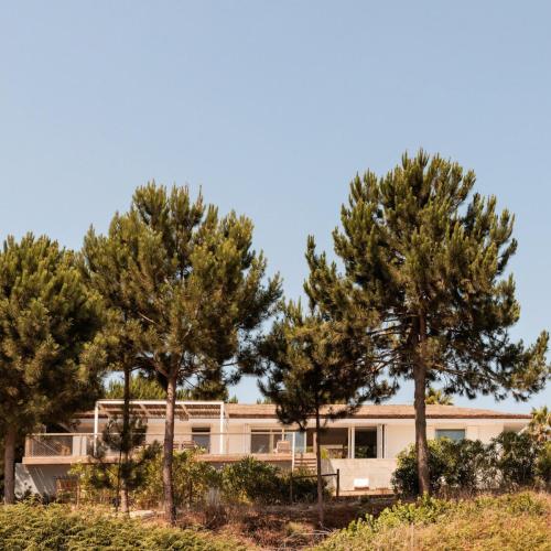 a building with trees in front of it at Campo de Arroz in Carvalhal