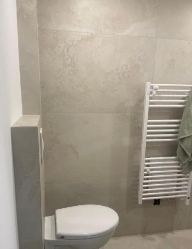 Bilik mandi di Appartement chaleureux en Alsace