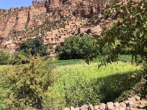 Gallery image of Gite Chez Brahim in Skoura