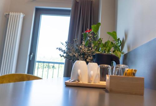 Φωτογραφία από το άλμπουμ του Agriturismo Demarie σε Vezza d'Alba