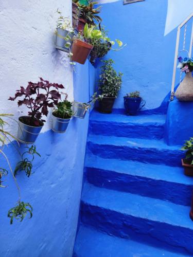a blue staircase with potted plants on it at Dar Ennadi Terrace & Tranquility in Chefchaouene