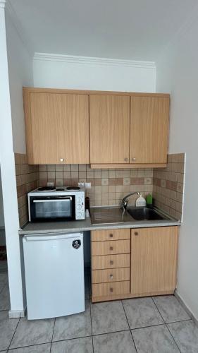 Η κουζίνα ή μικρή κουζίνα στο Lustitia Apartment