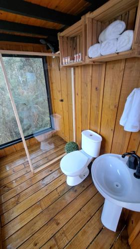 a bathroom with a toilet and a sink in a cabin at Cabana Bolha Urubici in Urubici