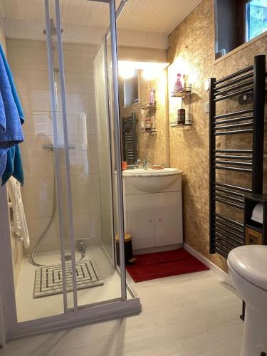 une salle de bain avec une douche, un lavabo et des toilettes dans l'établissement Maison de campagne, à Hautot-sur-Seine